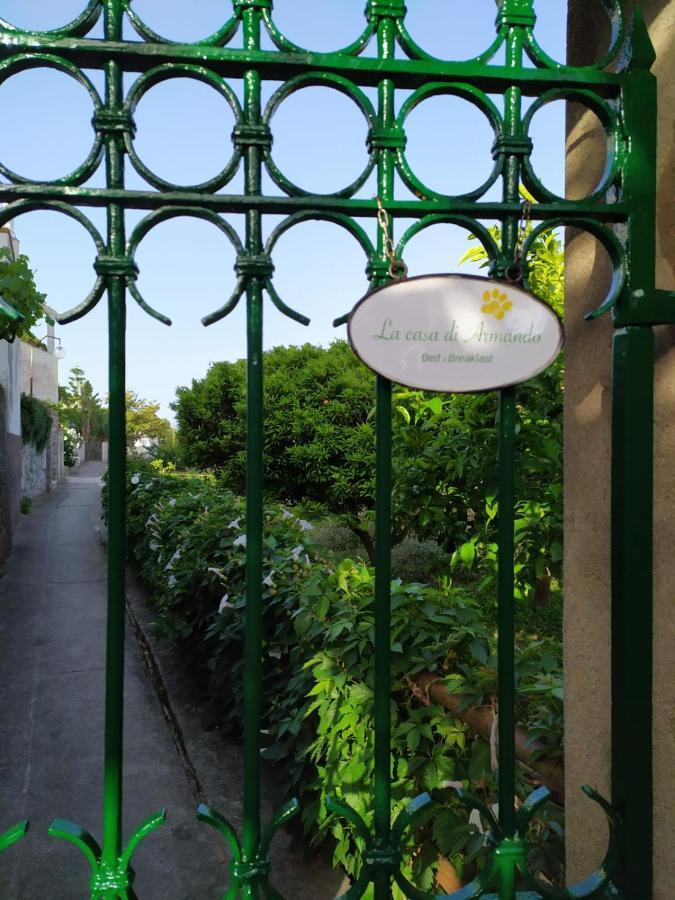 La Casa Di Armando Bed and Breakfast Κάπρι Εξωτερικό φωτογραφία